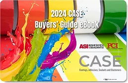 CASE-eBook-2024-COVER.jpg