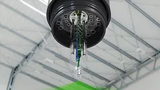 Durr 1 lead.png