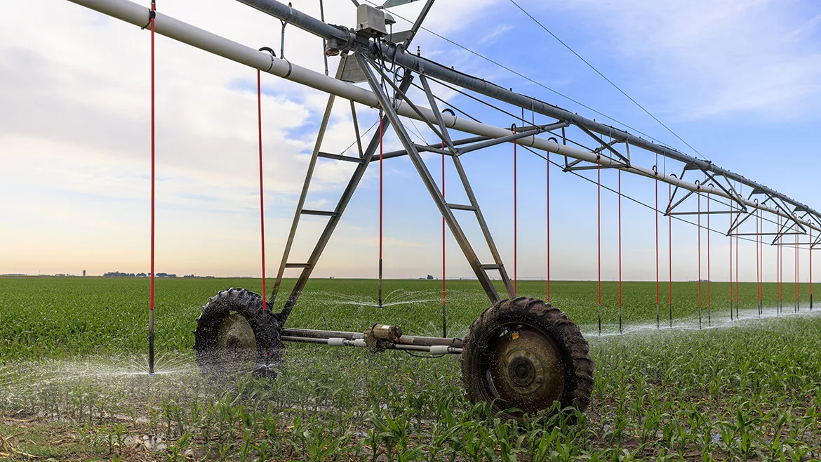 Center pivot irrigation system waters a vast corn field in rural Kansas